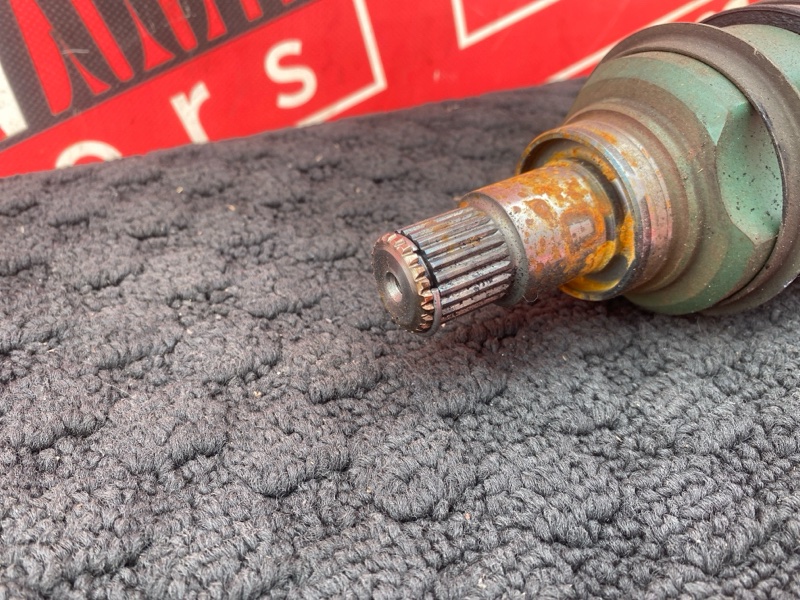 Привод, 2800 рублей, Солонцы