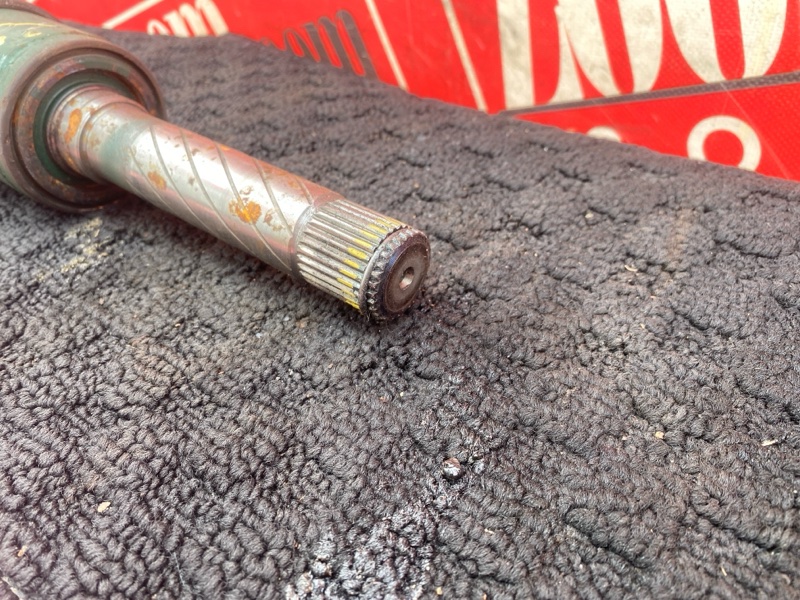 Привод, 8000 рублей, Солонцы