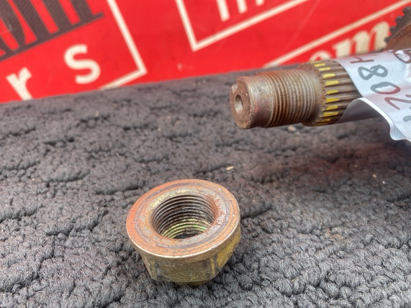 Привод, 8000 рублей, Солонцы