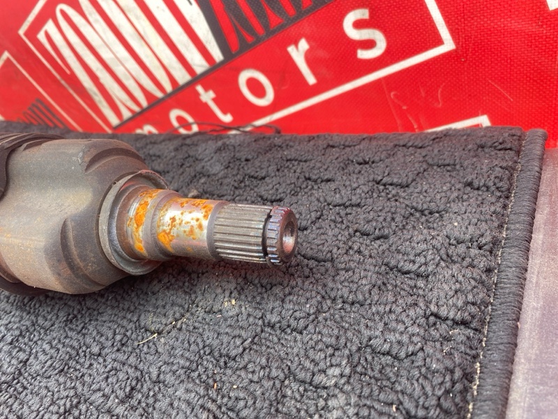 Привод, 1800 рублей, Солонцы