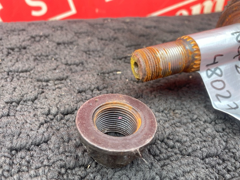 Привод, 1800 рублей, Солонцы