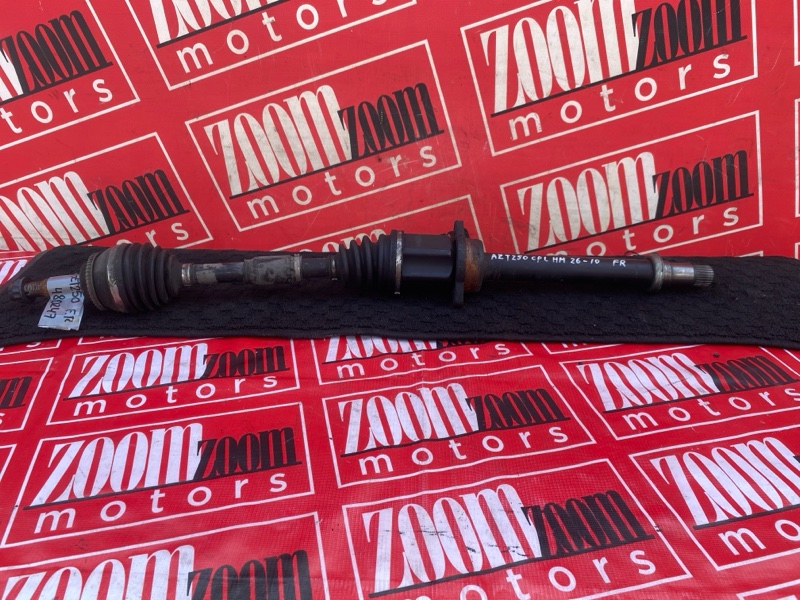 Привод, 3800 рублей, Солонцы