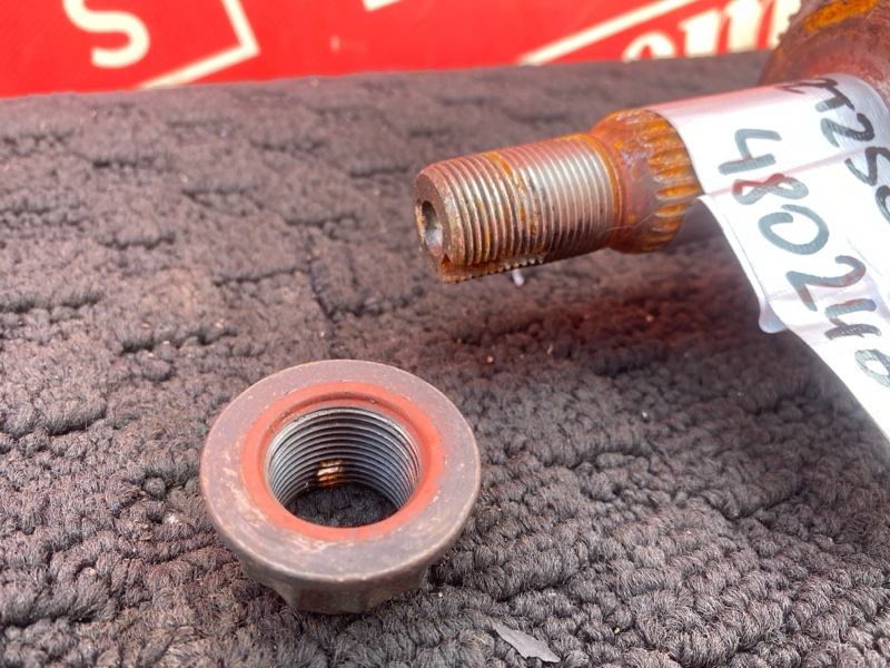 Привод, 4300 рублей, Солонцы