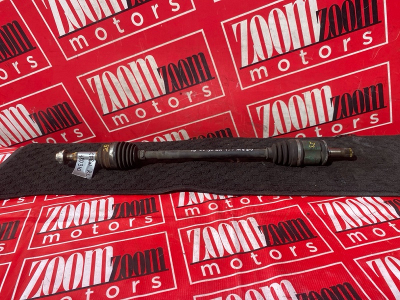 Привод, 3800 рублей, Солонцы