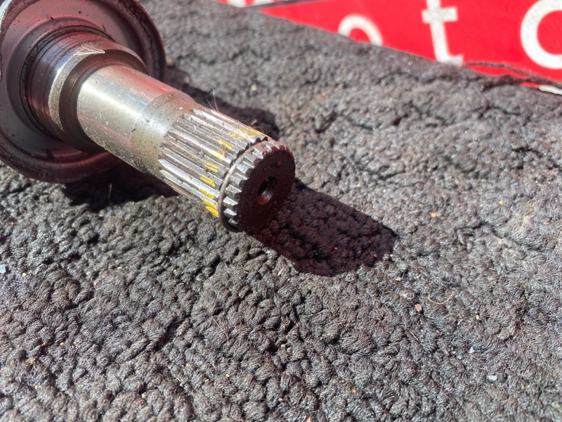 Привод, 3800 рублей, Солонцы