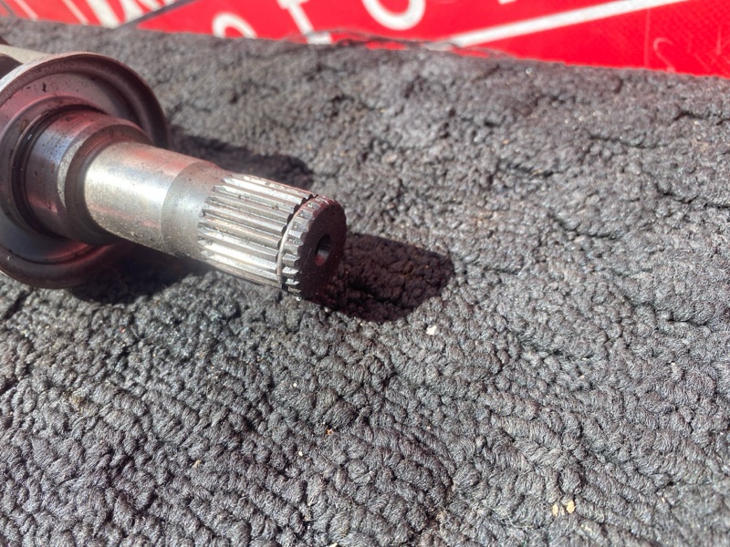 Привод, 3800 рублей, Солонцы