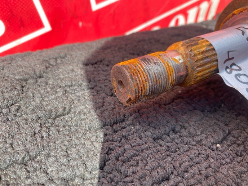 Привод, 3800 рублей, Солонцы