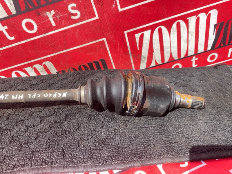 Привод, 1800 рублей, Солонцы