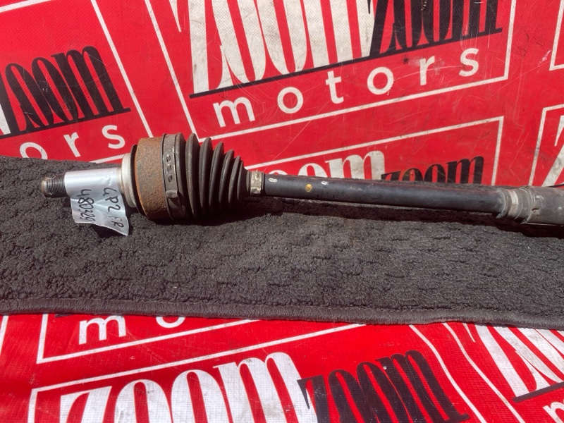 Привод, 1900 рублей, Солонцы