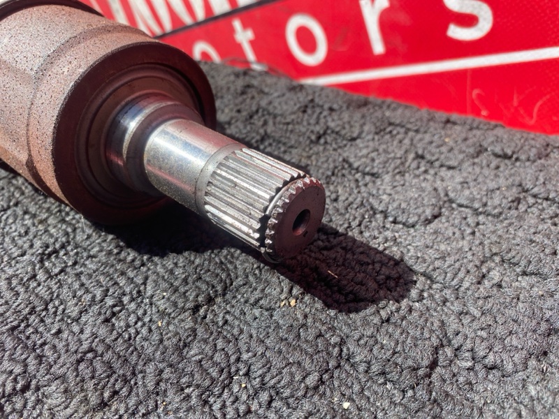 Привод, 1900 рублей, Солонцы