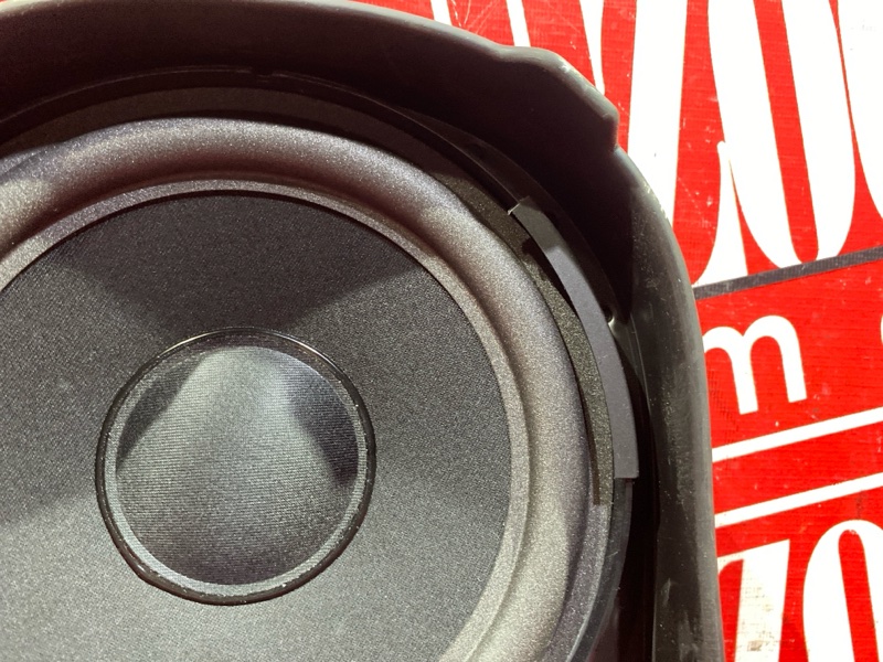 Динамик, 1900 рублей, Солонцы