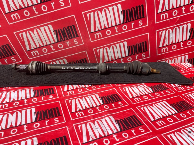 Привод, 1800 рублей, Солонцы