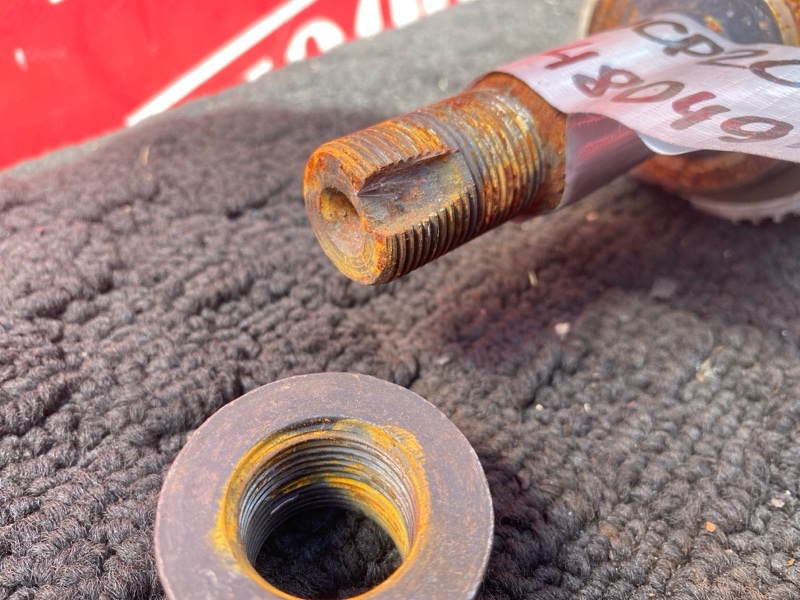 Привод, 1800 рублей, Солонцы