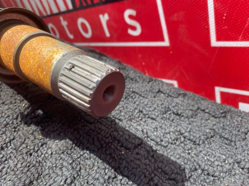 Привод, 6000 рублей, Солонцы