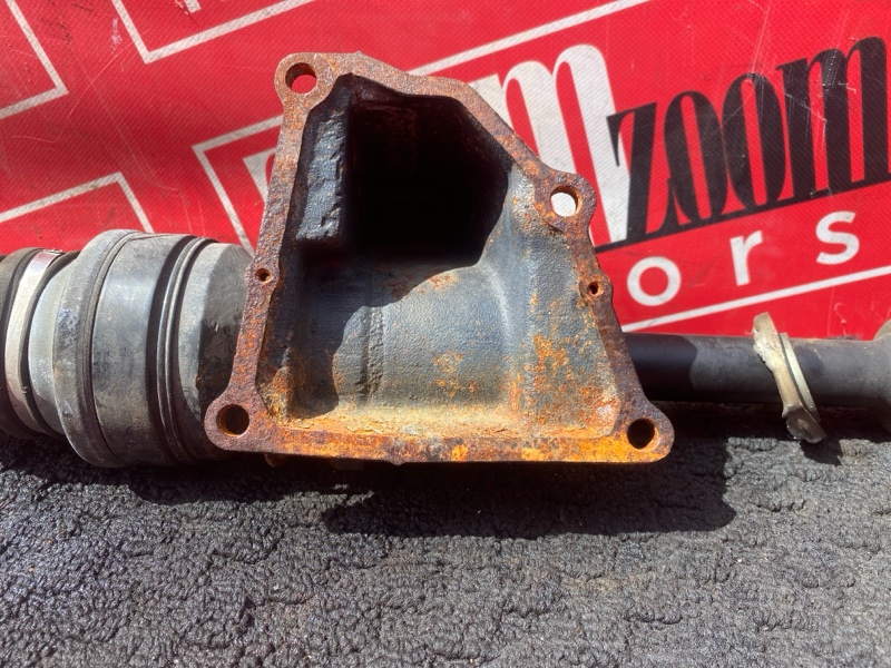 Привод, 6000 рублей, Солонцы