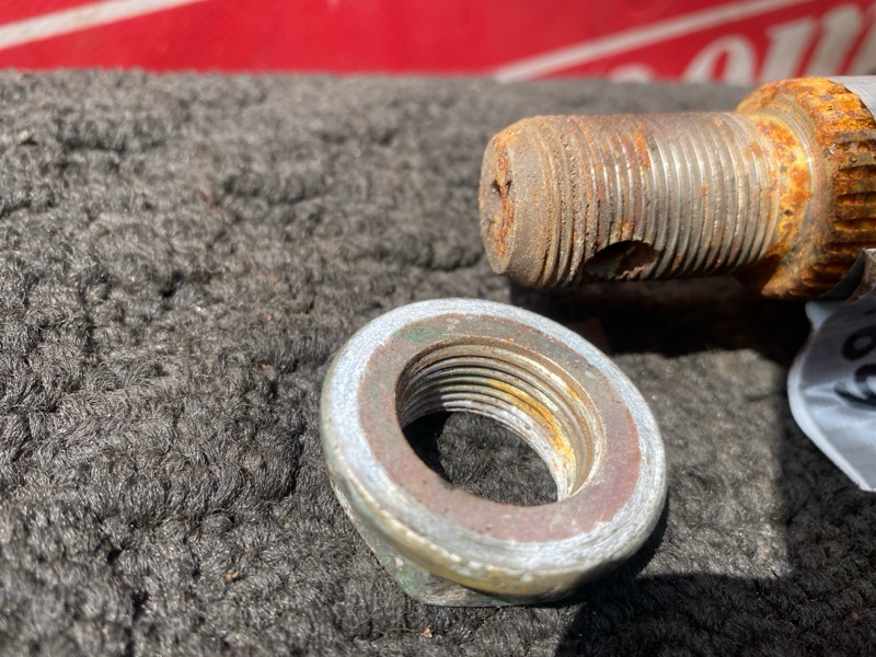 Привод, 6000 рублей, Солонцы