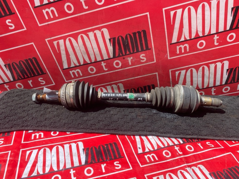 Привод, 6000 рублей, Солонцы