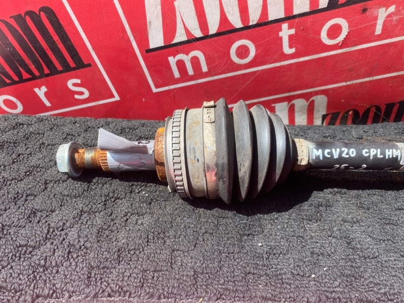 Привод, 6000 рублей, Солонцы