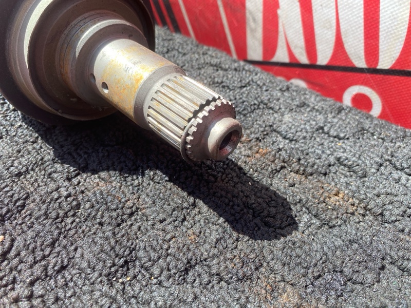 Привод, 6000 рублей, Солонцы