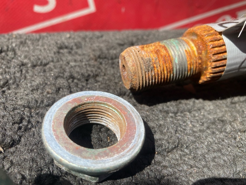 Привод, 6000 рублей, Солонцы