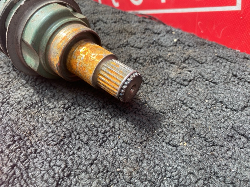 Привод, 5000 рублей, Солонцы