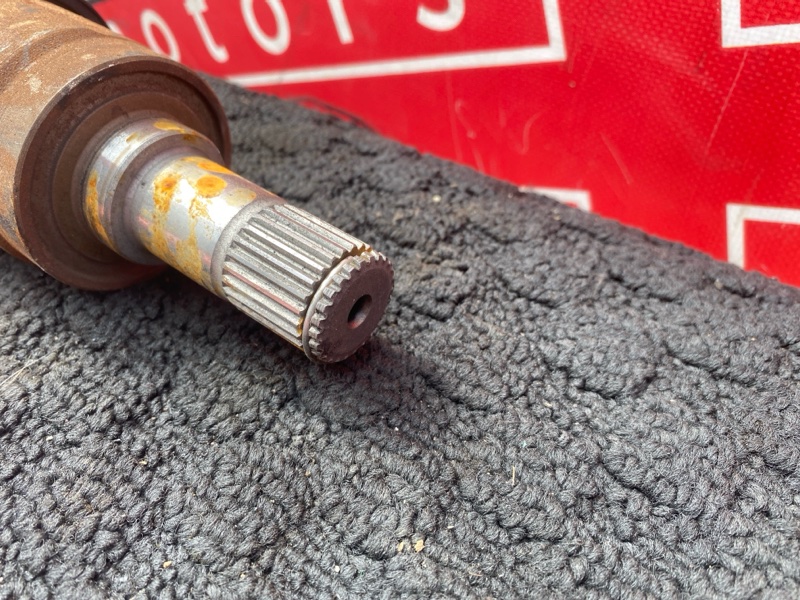 Привод, 3400 рублей, Солонцы