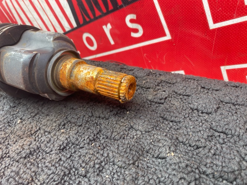 Привод, 1800 рублей, Солонцы