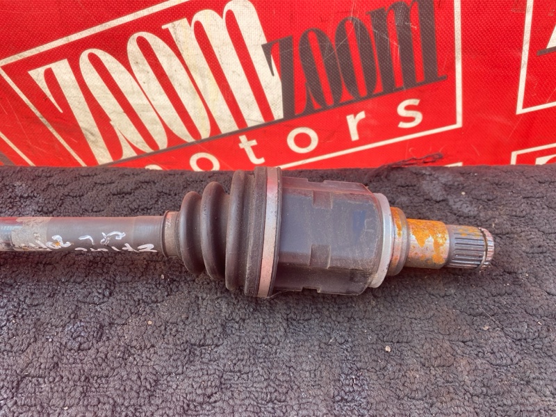 Привод, 4800 рублей, Солонцы