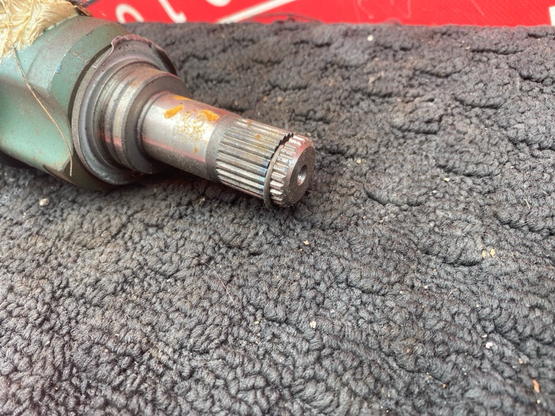 Привод, 1300 рублей, Солонцы