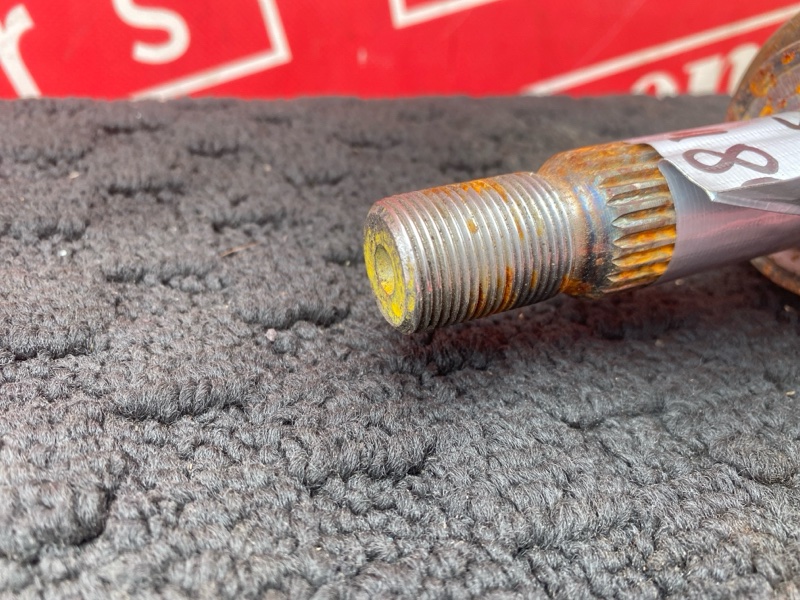 Привод, 1300 рублей, Солонцы