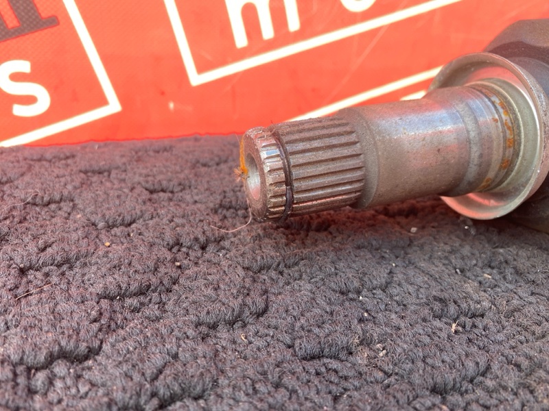 Привод, 1700 рублей, Солонцы