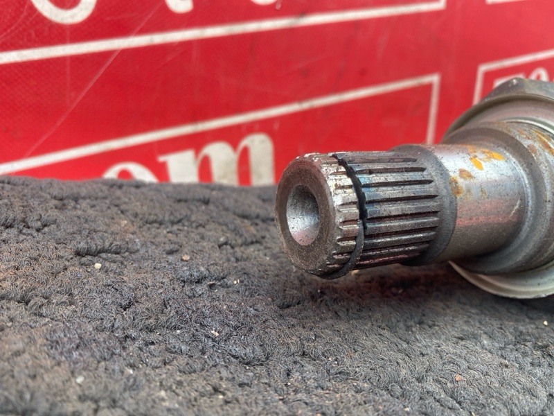 Привод, 1700 рублей, Солонцы