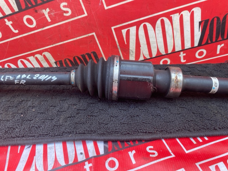 Привод, 9500 рублей, Солонцы