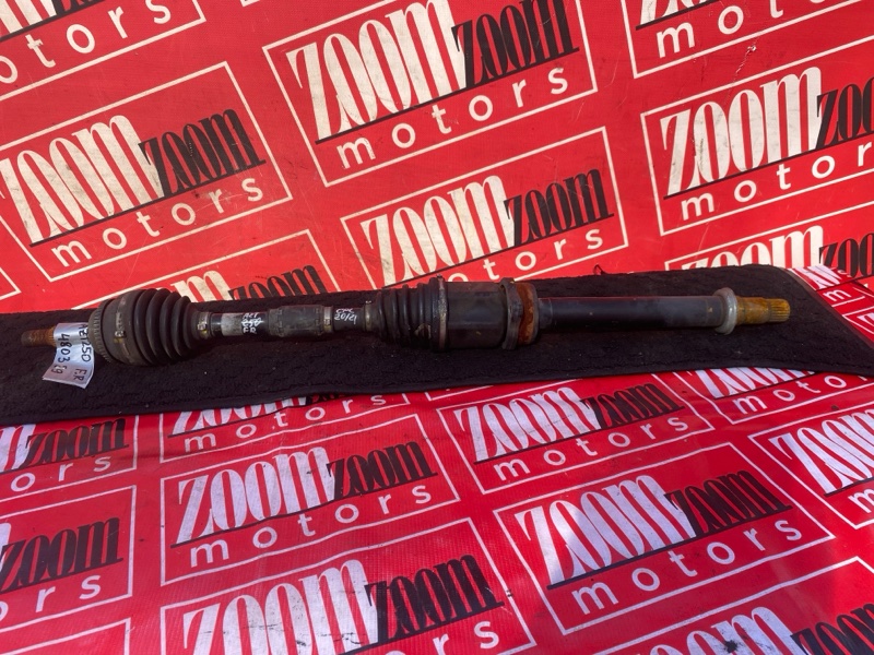 Привод, 3800 рублей, Солонцы