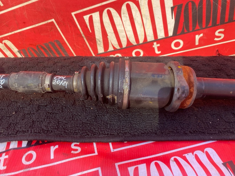 Привод, 3800 рублей, Солонцы