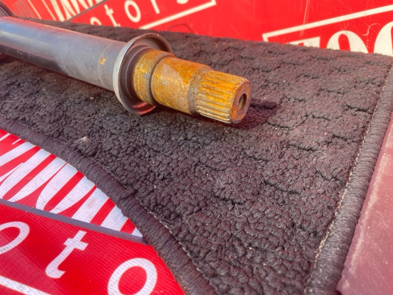 Привод, 3800 рублей, Солонцы