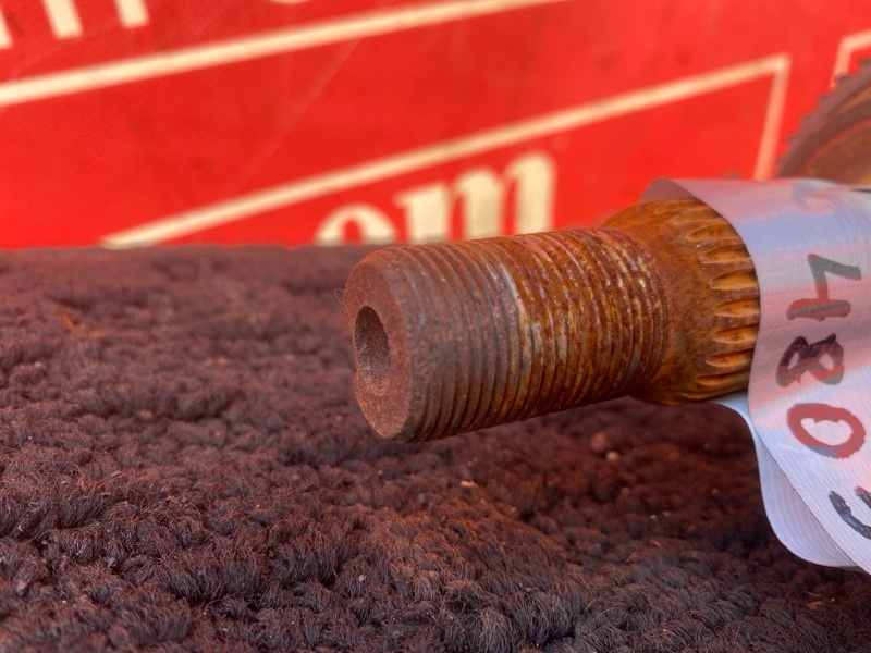 Привод, 3800 рублей, Солонцы