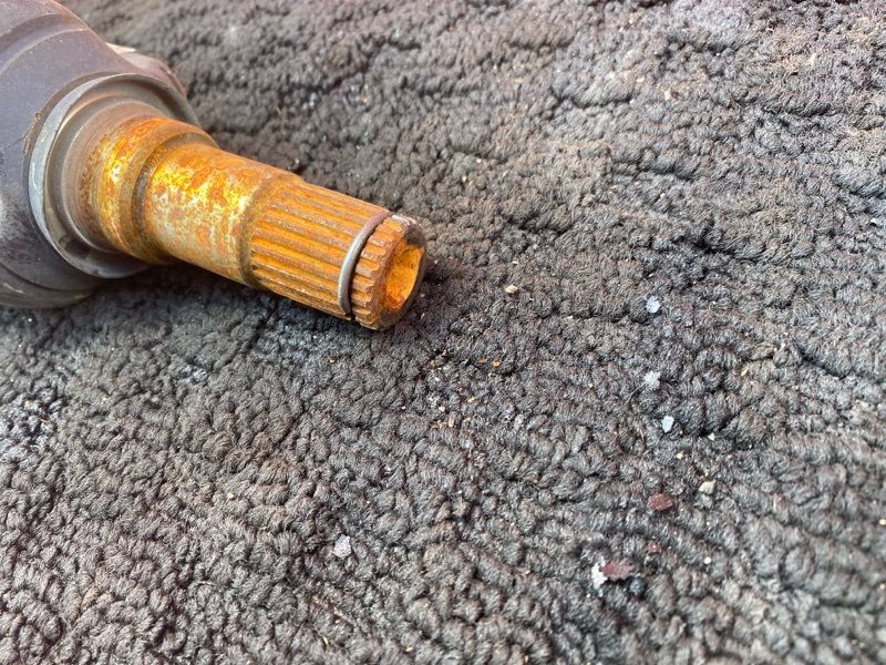 Привод, 2400 рублей, Солонцы