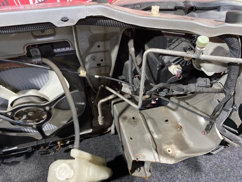 Nose cut, 36100 рублей, Красноярск