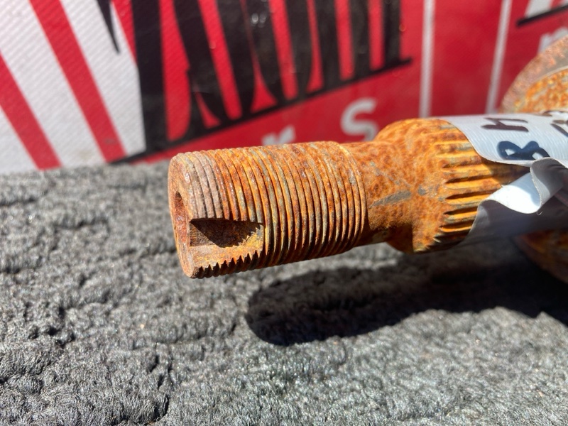 Привод, 3400 рублей, Солонцы