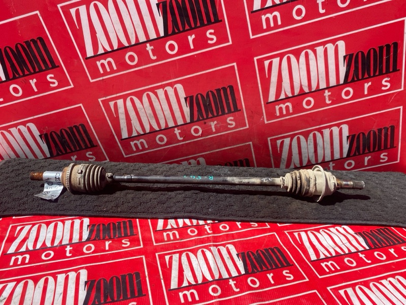 Привод, 1000 рублей, Солонцы