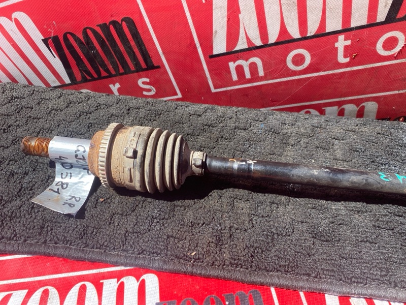 Привод, 1000 рублей, Солонцы