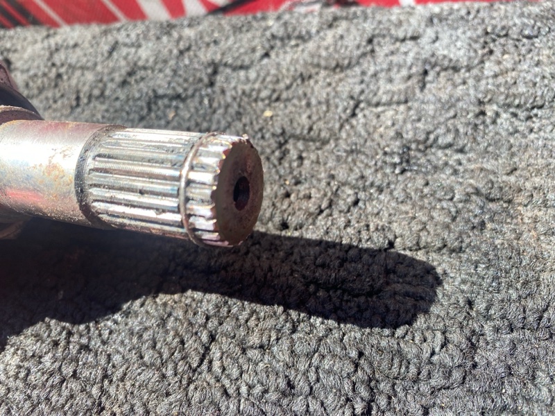 Привод, 1000 рублей, Солонцы