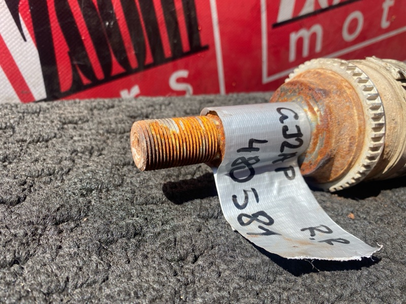 Привод, 1000 рублей, Солонцы