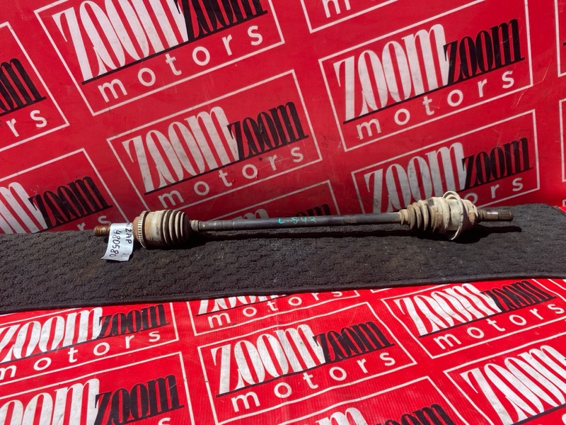 Привод, 1000 рублей, Солонцы