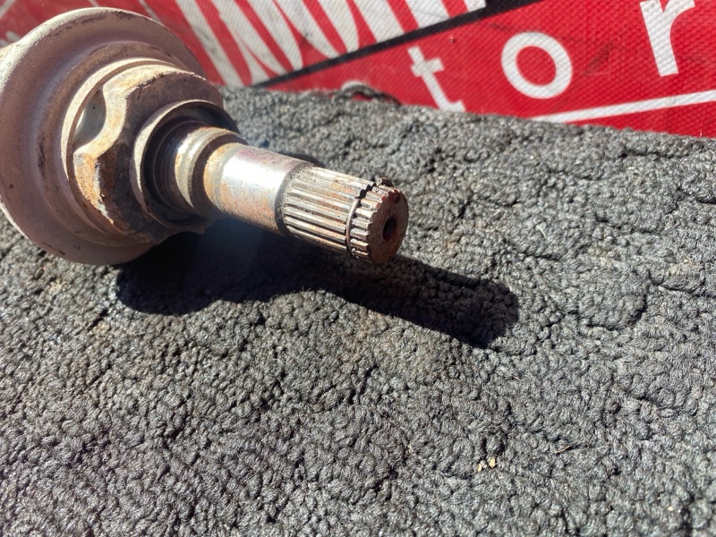 Привод, 1000 рублей, Солонцы