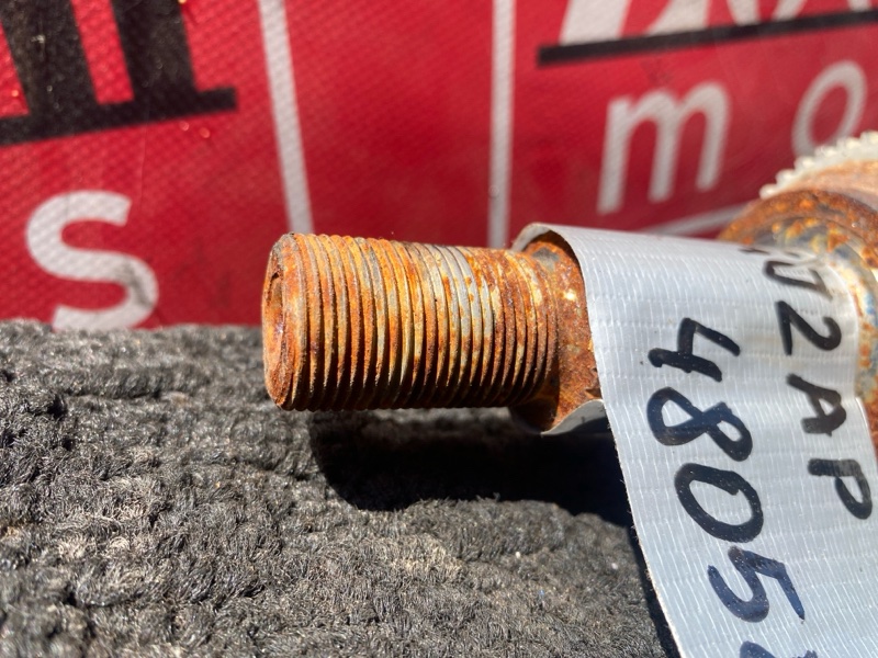 Привод, 1000 рублей, Солонцы