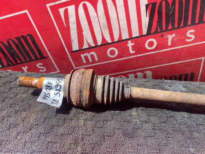 Привод, 3400 рублей, Солонцы