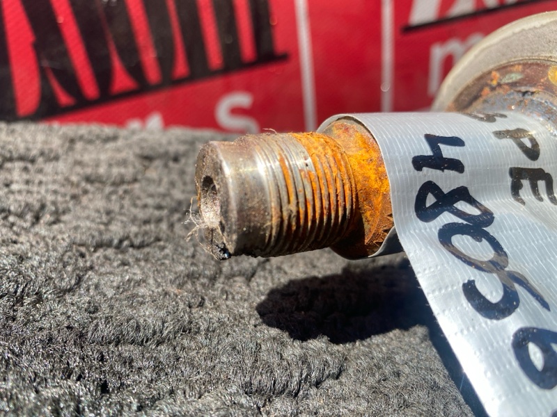 Привод, 3800 рублей, Солонцы