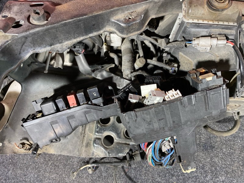 Nose cut, 47500 рублей, Красноярск